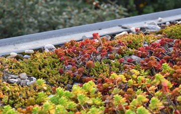 the cost of Wyke Champflower green roof installation