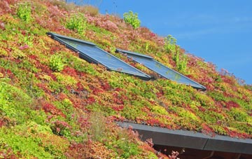 Wyke Champflower living roof systems